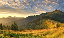 Лечебно-оздоровительный туризм и его основа- лечебный курорт