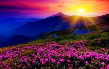 Шубы в Греции – лучший шопинг!